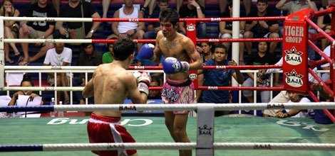 Boxe thai à Phuket (Patong)